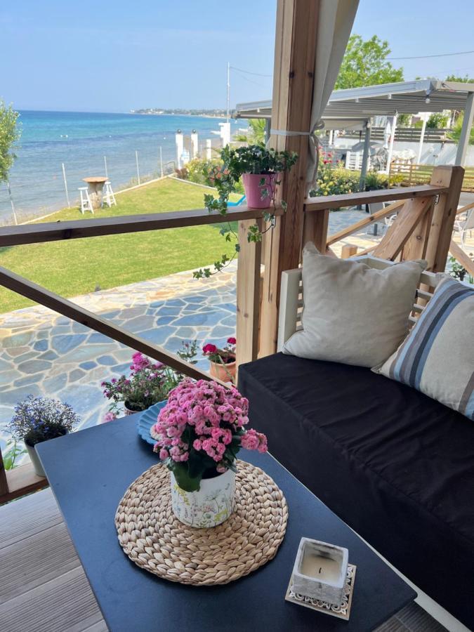 Vergia Beachfront Villa Athina מראה חיצוני תמונה