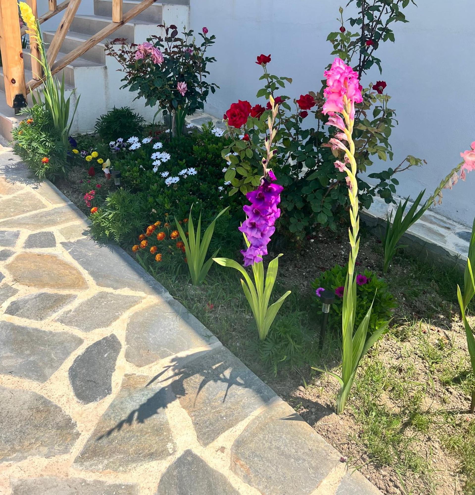 Vergia Beachfront Villa Athina מראה חיצוני תמונה